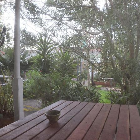 Oasis Accommodation Opotiki Eksteriør bilde